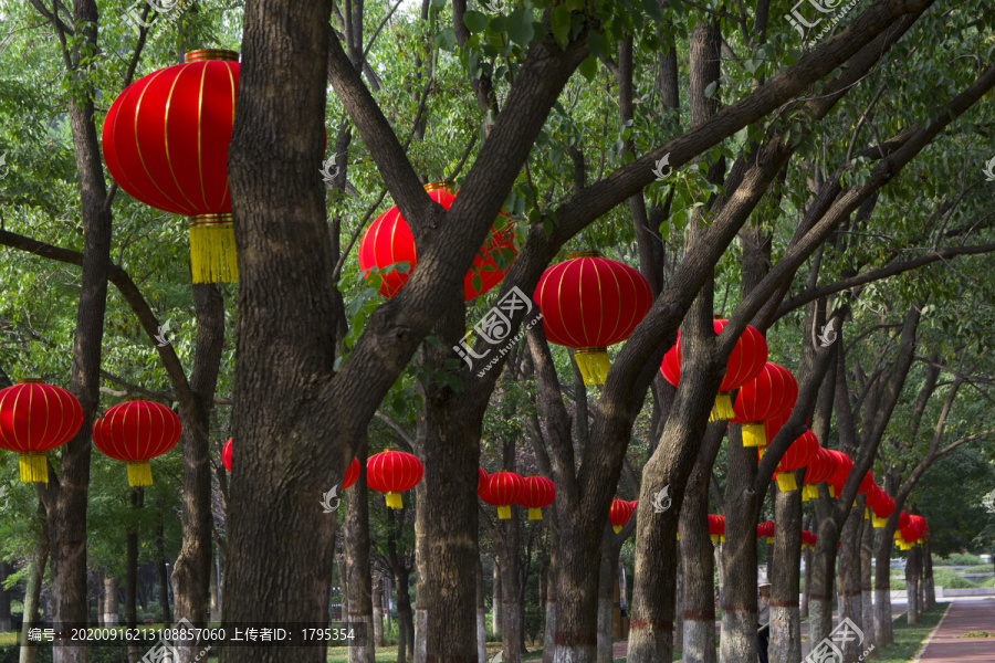 园林景观灯笼