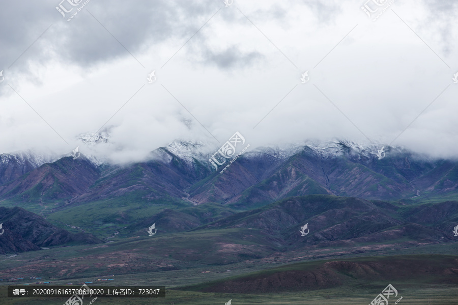 青海雪山草地