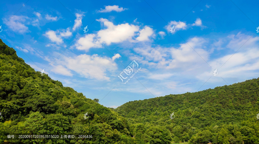 长沙桃花岭公园的自然风光