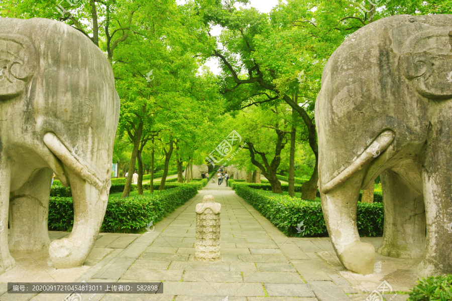 明孝陵石象路