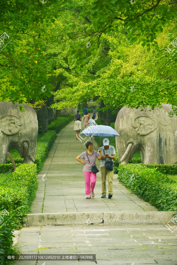 明孝陵石象路美景