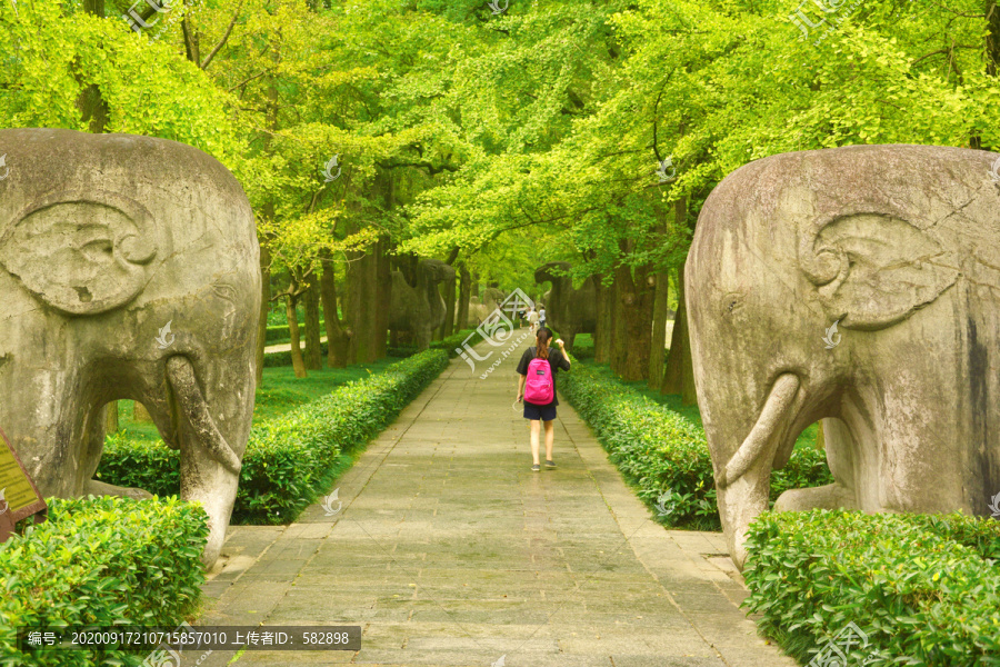 明孝陵石象路美景