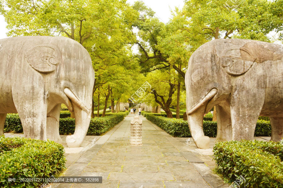 秋天南京明孝陵石象路