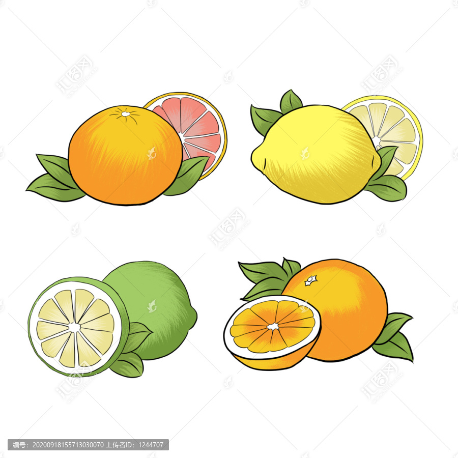 橙子柠檬手绘水果插画