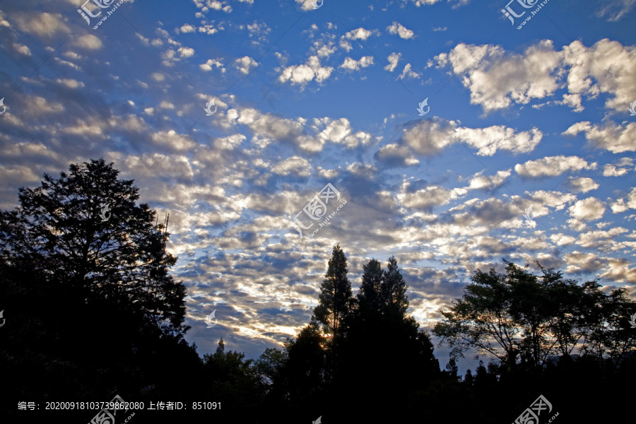 阿里山风景