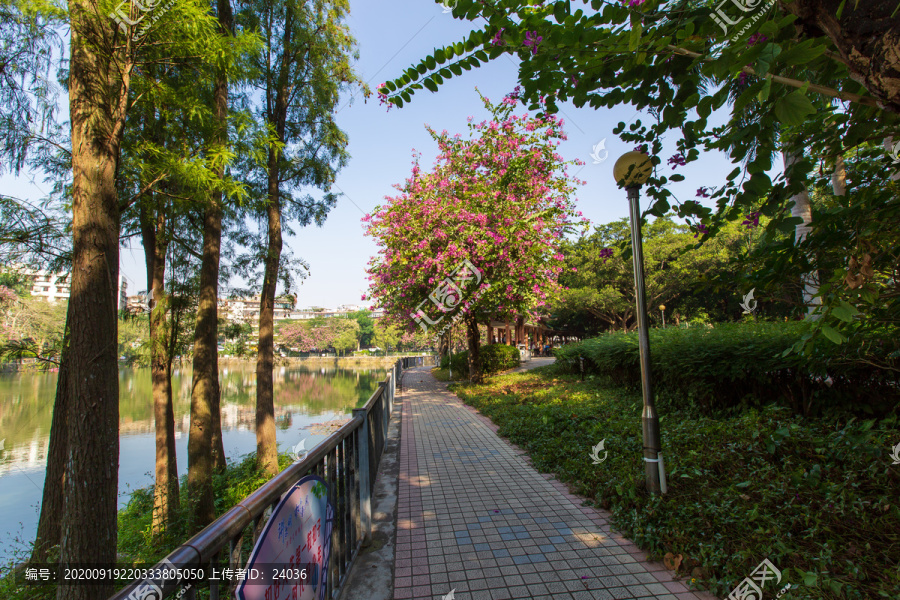 广东湛江寸金纪念广场步道