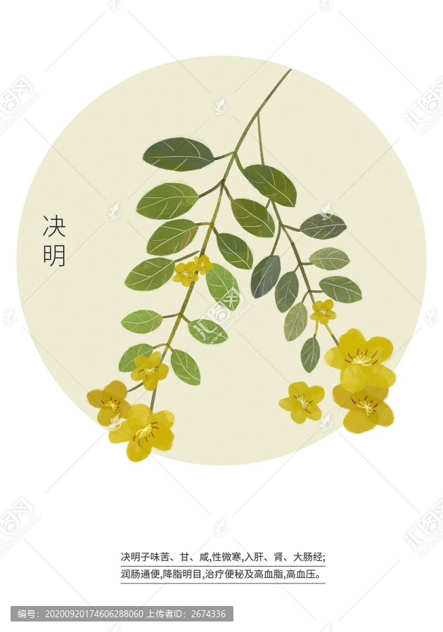決明子