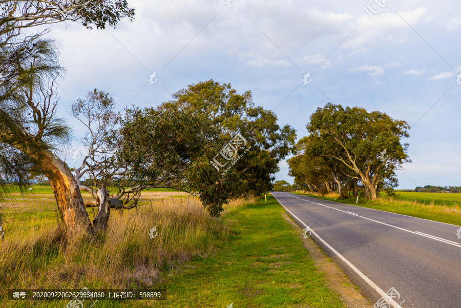 澳大利亚郊野公路