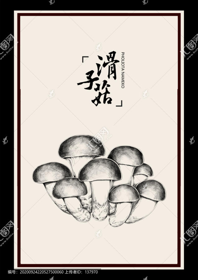 滑子菇