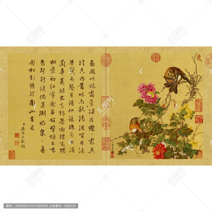 郎世寧花鳥圖冊
