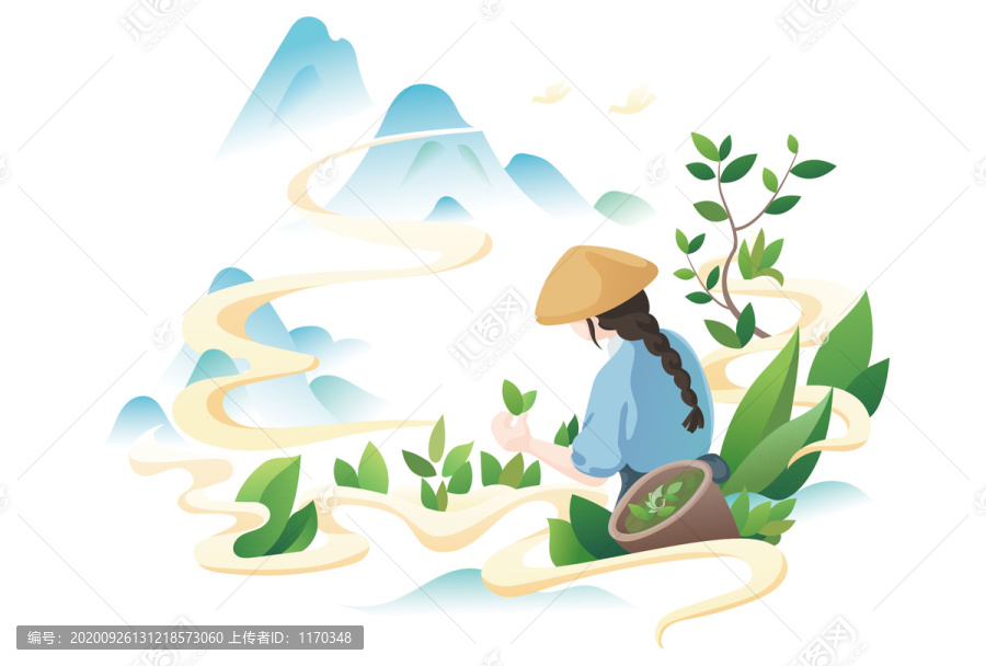 茶葉插畫