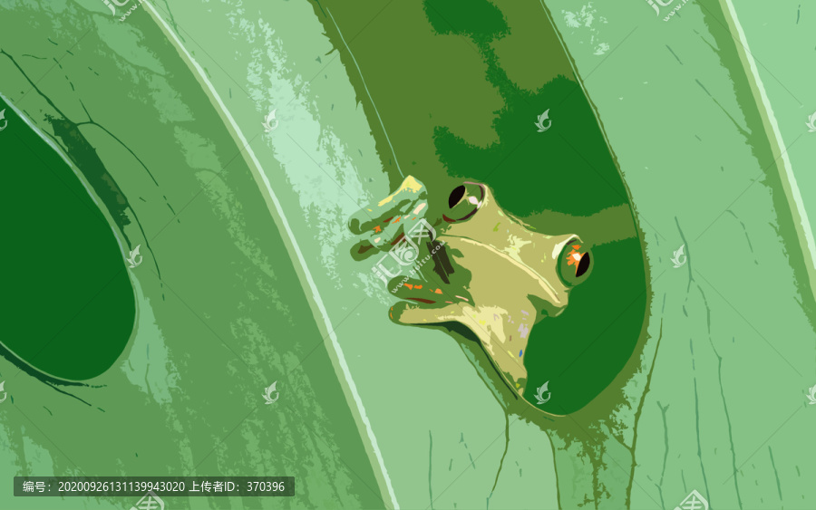 绿叶里的树蛙抽象图
