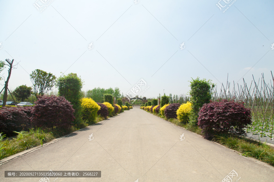 科学生态种植菜园