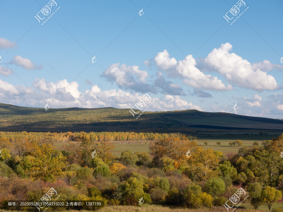 呼伦贝尔大草原林场风光中画幅