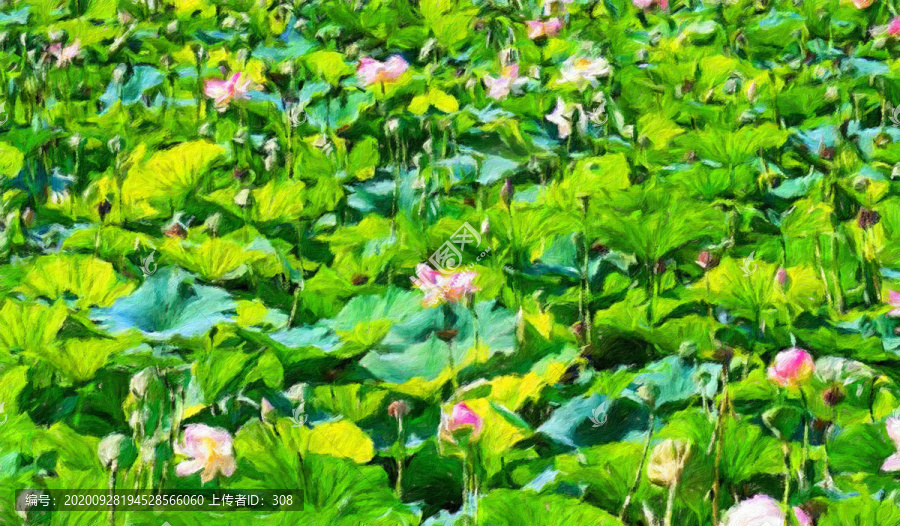荷葉油畫