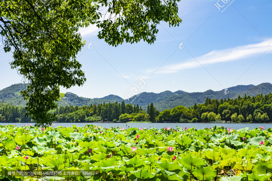 杭州西湖