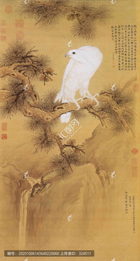 郎世寧白鶻圖