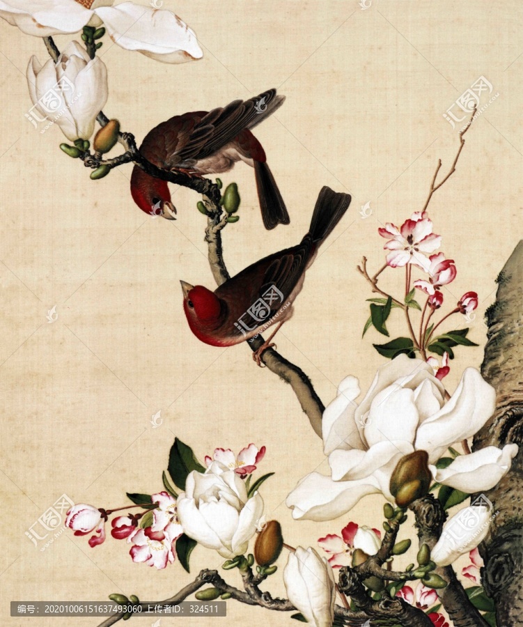 郎世寧海棠玉蘭圖