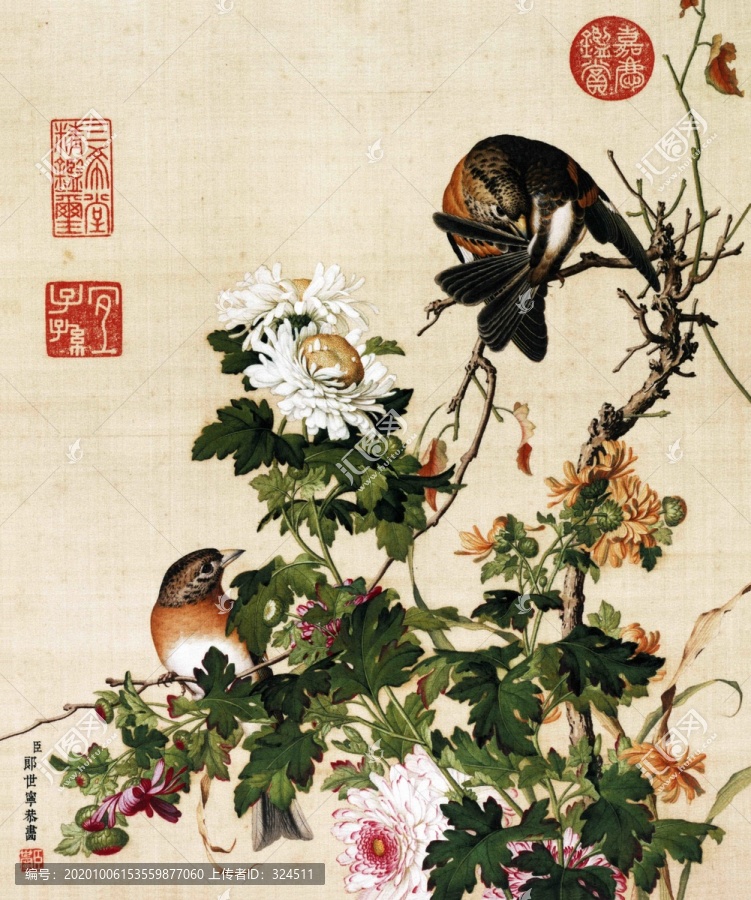 郎世寧菊花圖