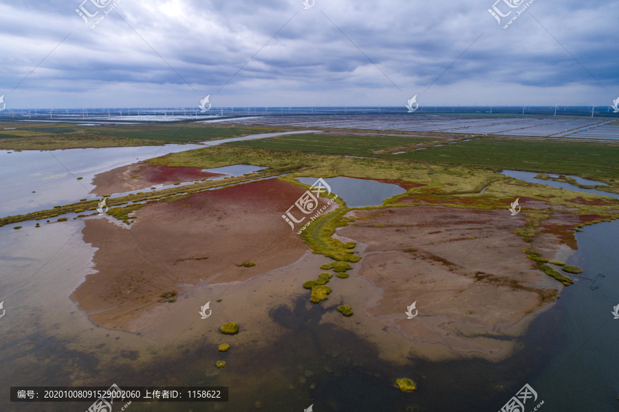 江苏盐城条子泥湿地红草地