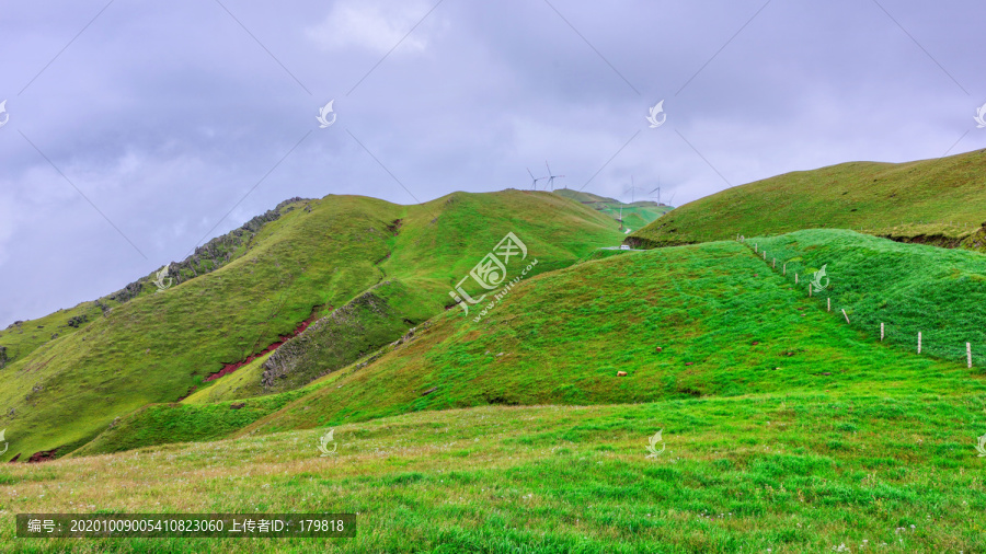 会泽大海草山