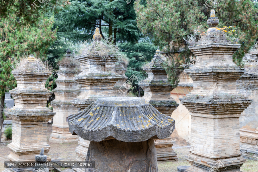 少林寺塔林