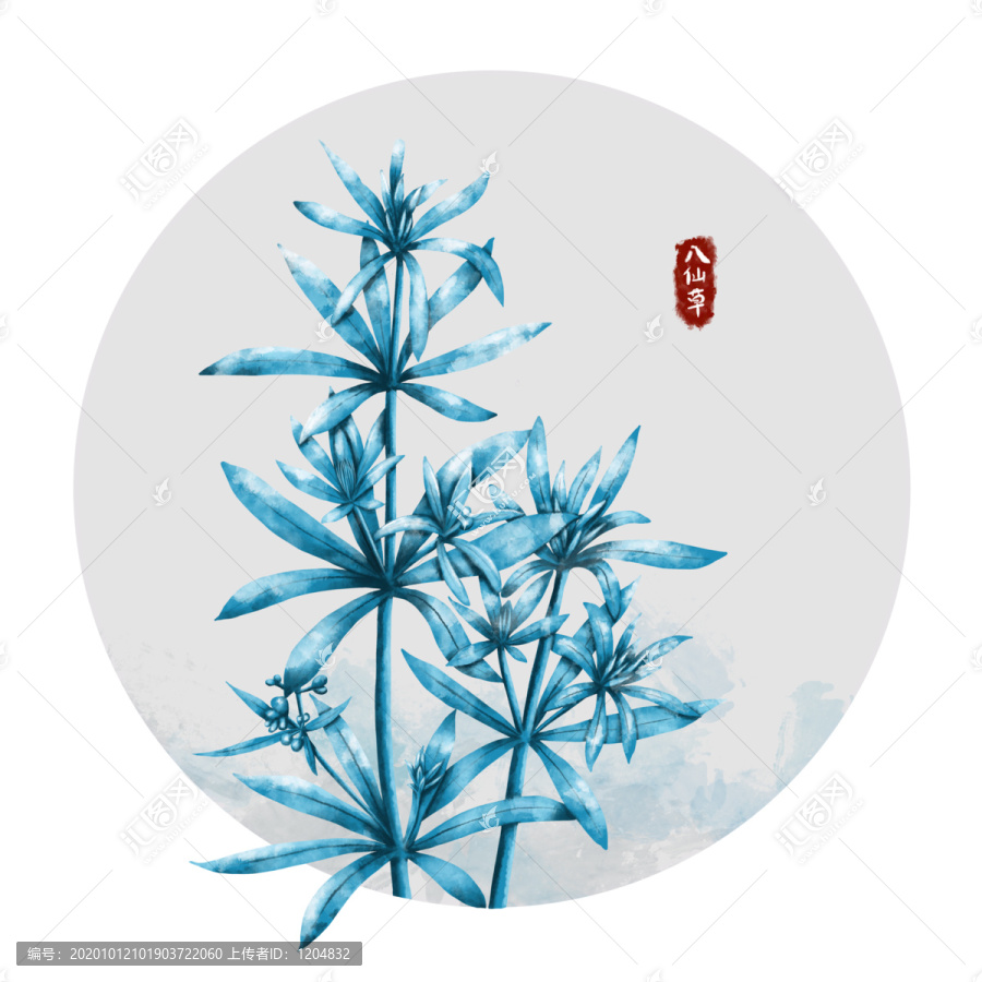 手繪植物八仙草