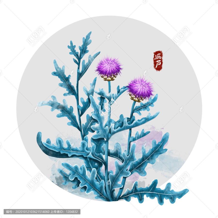 手繪植物漏蘆