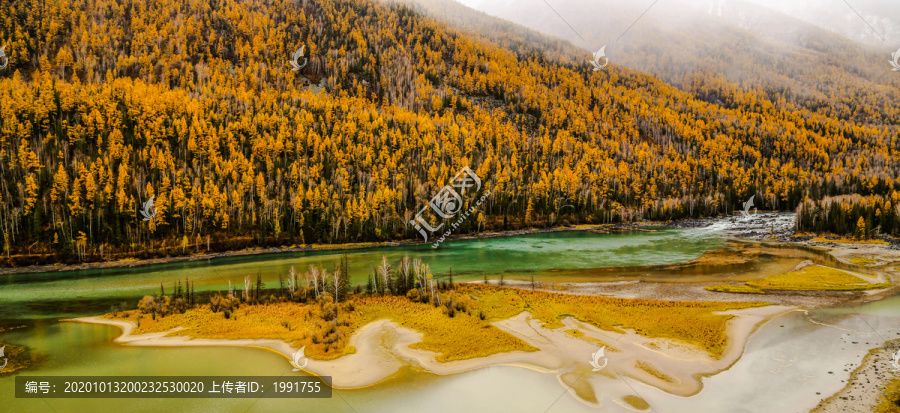 喀纳斯月亮湾金色秋景