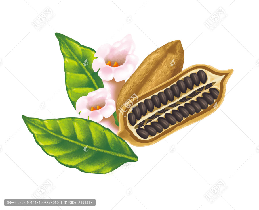 黑芝麻插畫