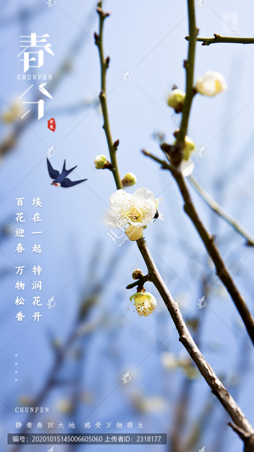 春分海報