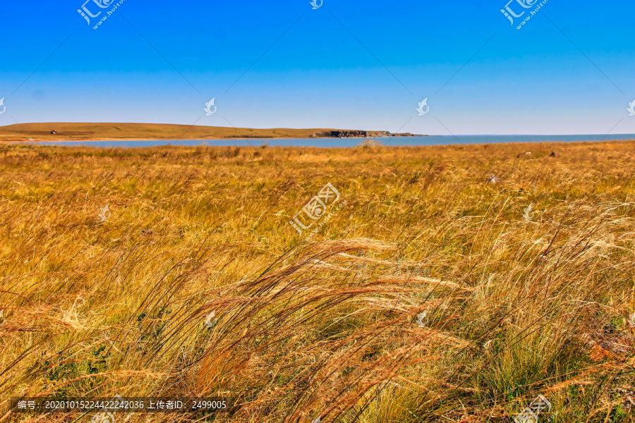 内蒙古草原湿地风光