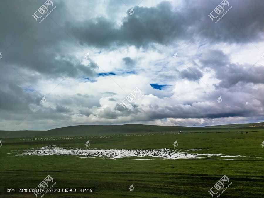 雨季草原羊群马群