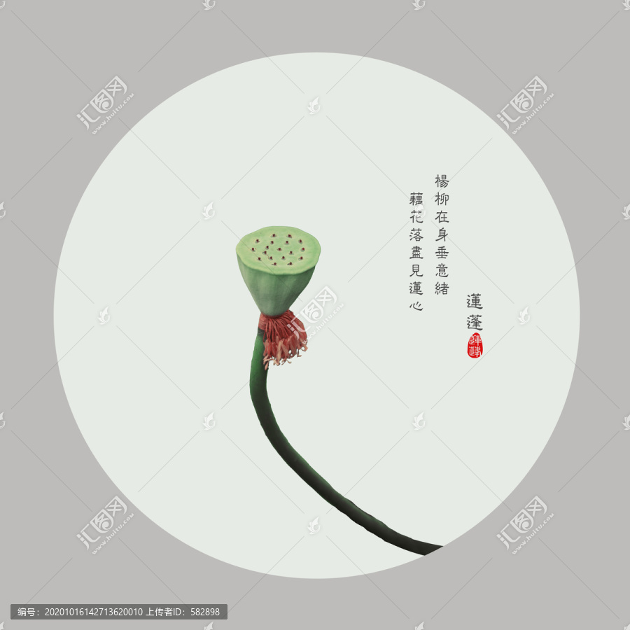 清新唯美蓮蓬圖