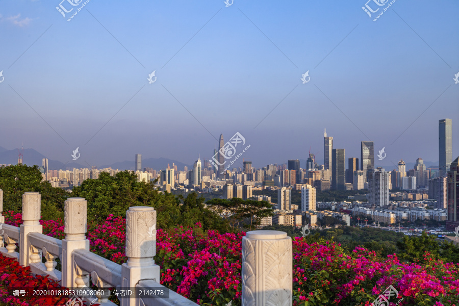 汉白玉前的深圳城市地标建筑风景