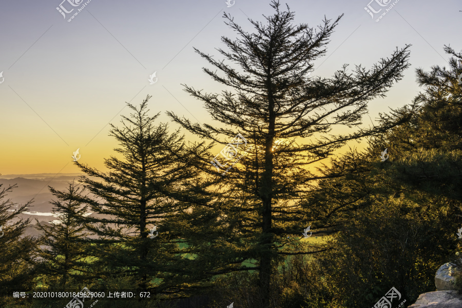 泰山日出美景