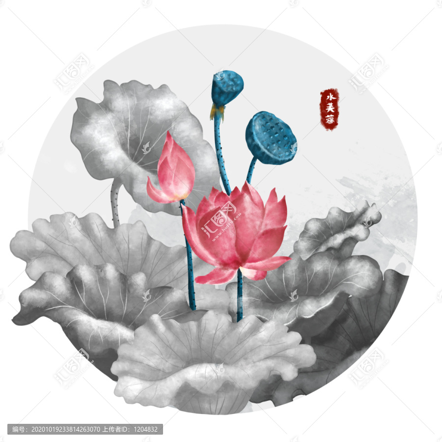 水芙蓉黑白