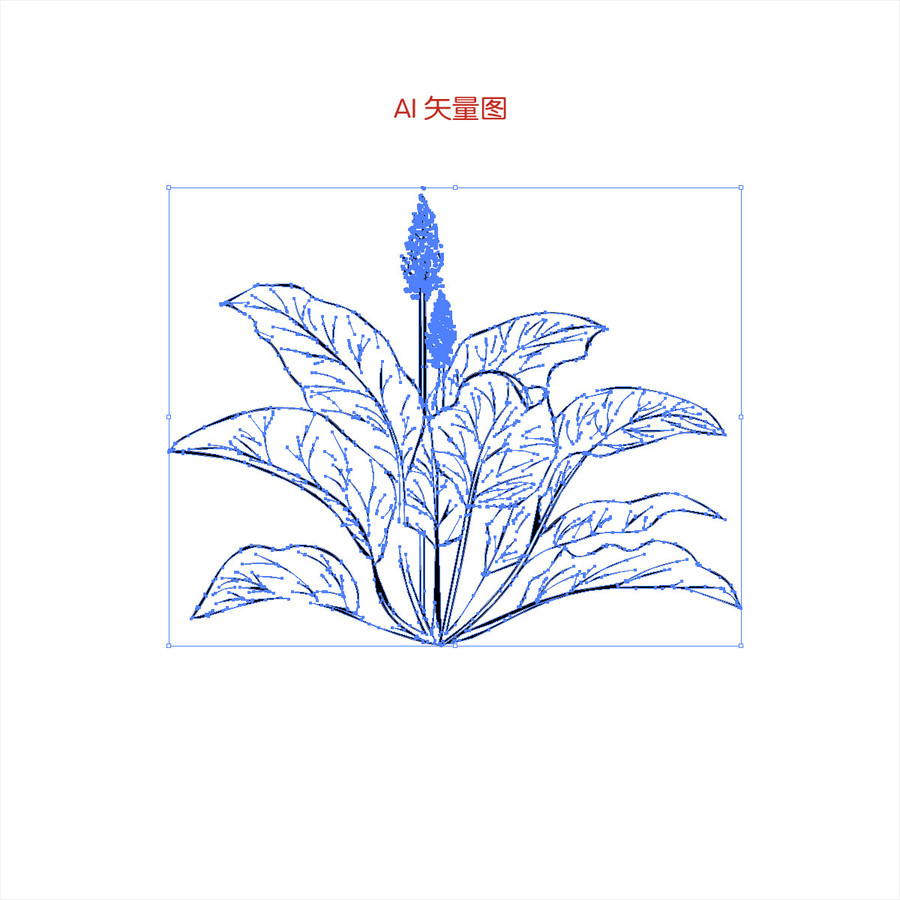 手繪大黃