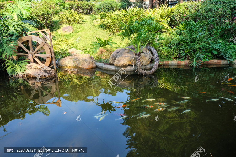 水池