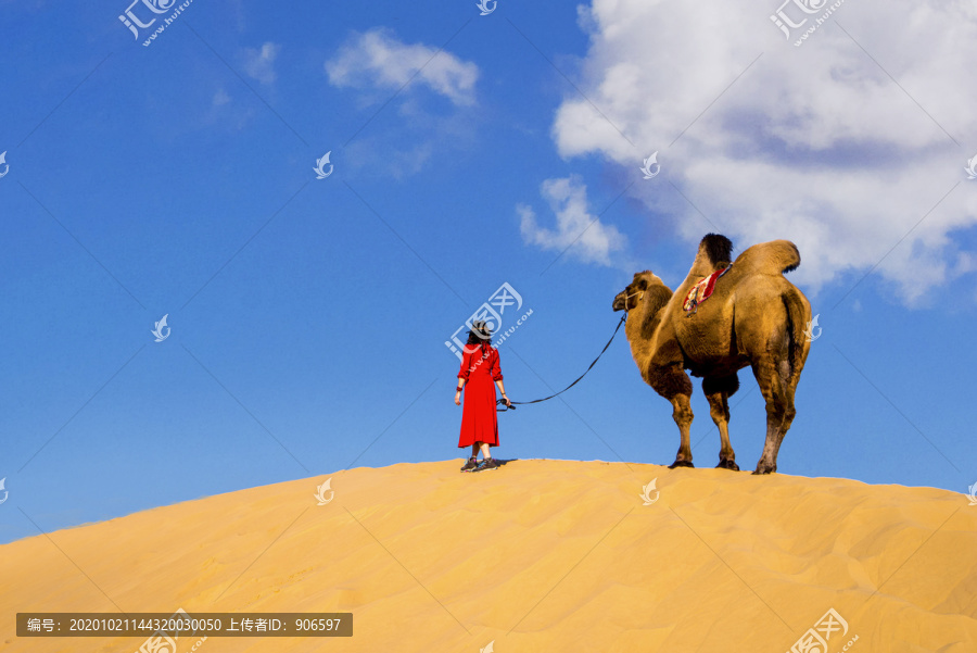 沙漠与骆驼