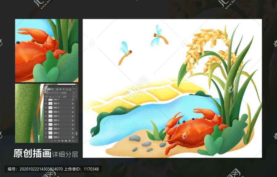 水稻螃蟹農(nóng)田插畫