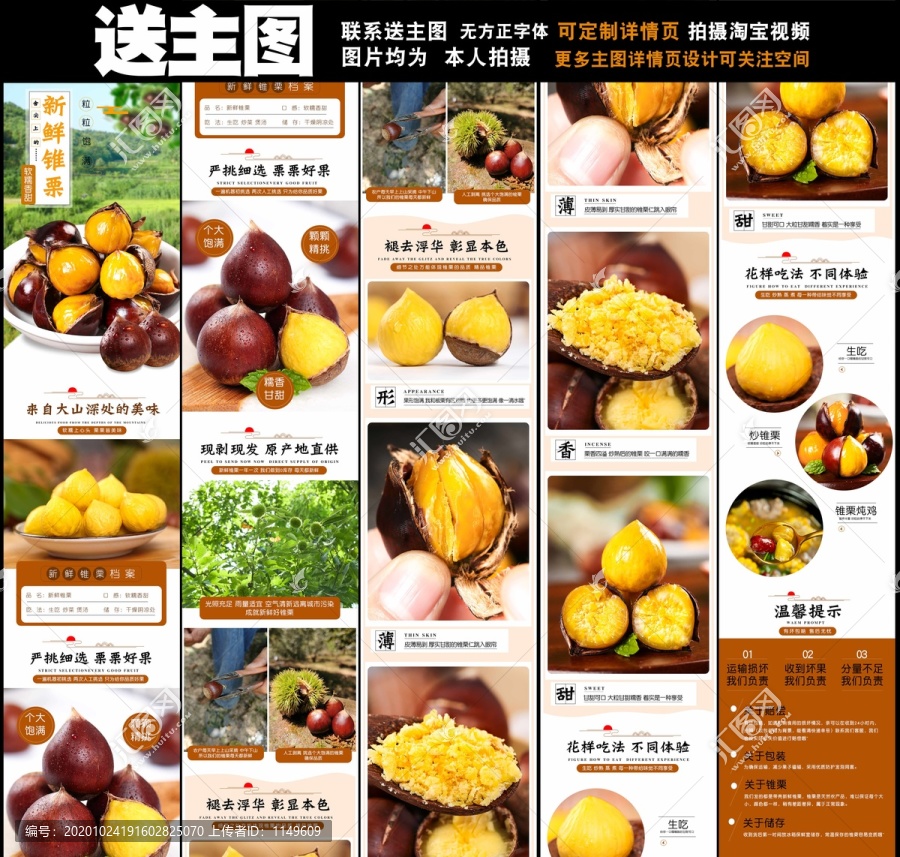 錐栗詳情