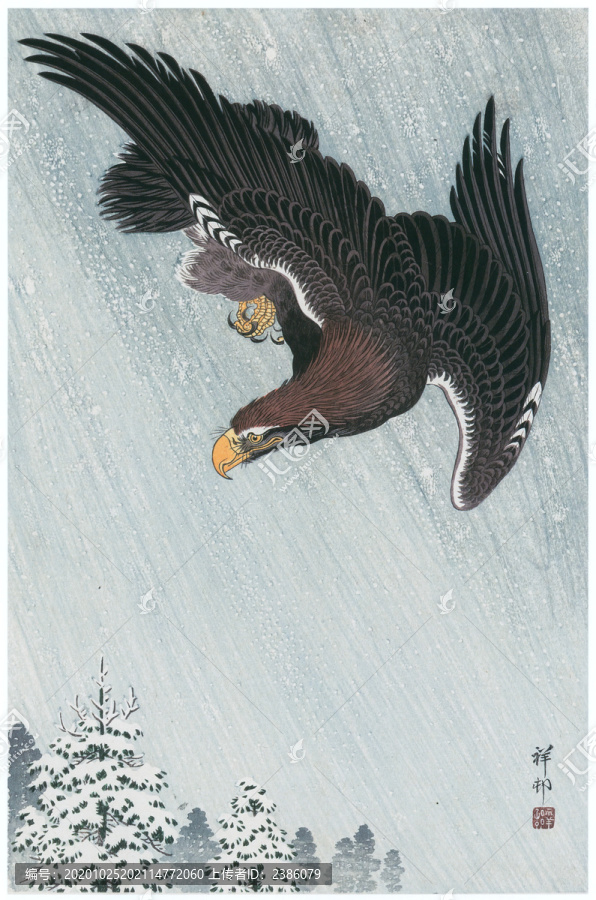 小原古村飛鷲