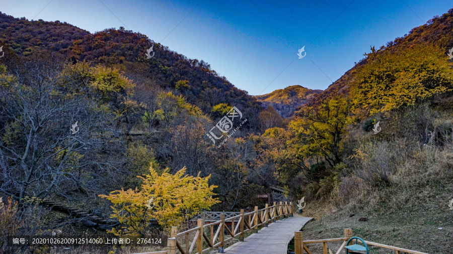 野核桃沟