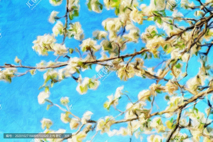梨花