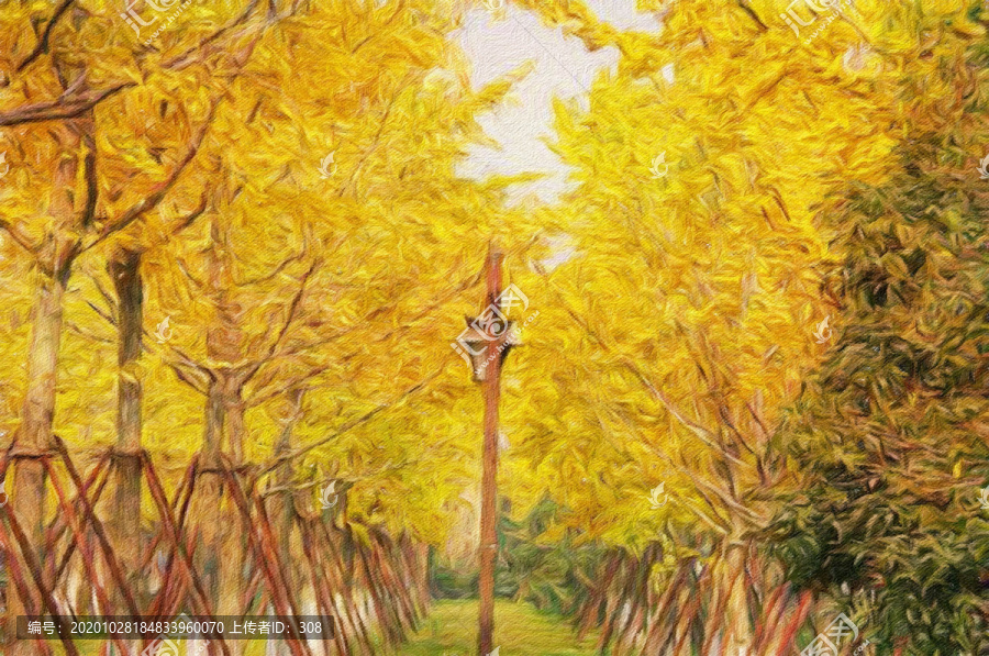 銀杏樹