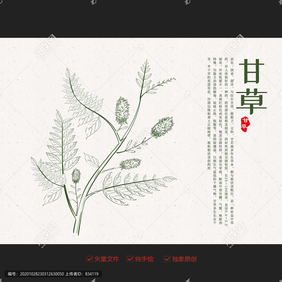 甘草插畫