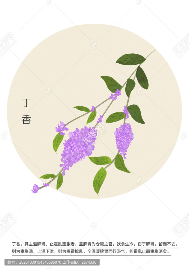 丁香