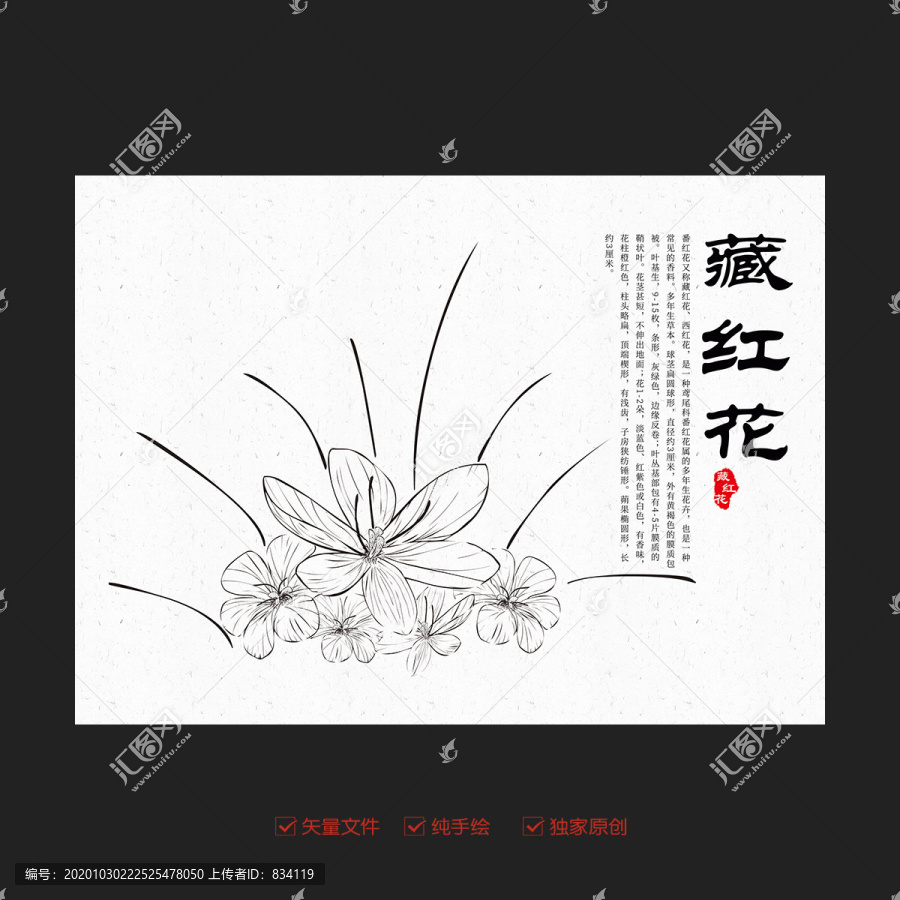 手繪藏紅花
