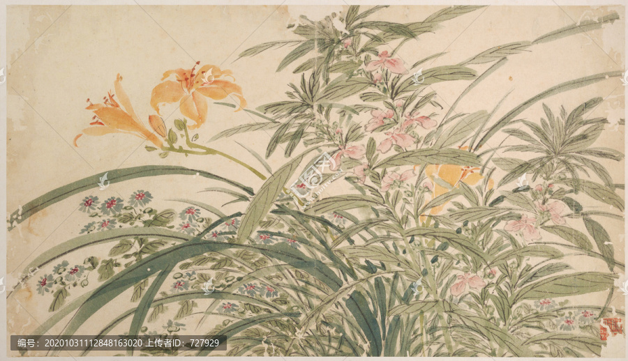 陳淳萱草
